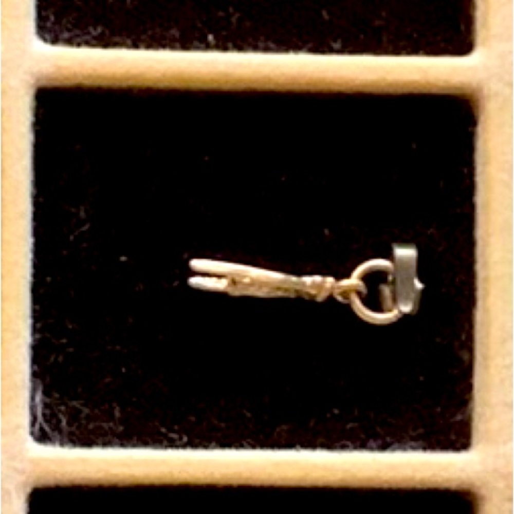10k gold charm.